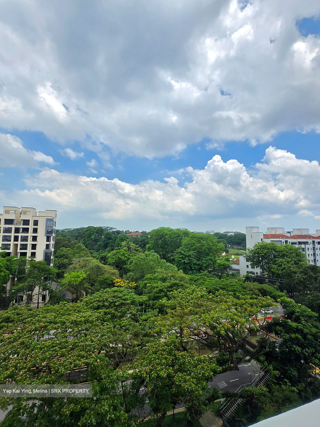Mayfair Modern (D21), Condominium #450096421